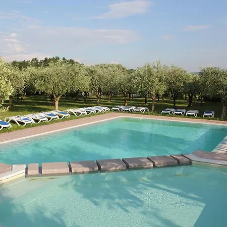 Ulivi Cavaion Veronese