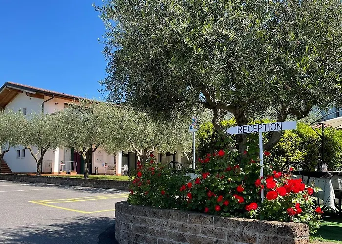 Ulivi