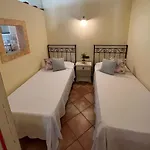 Ulivi