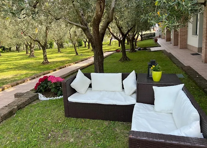 Ulivi Cavaion Veronese