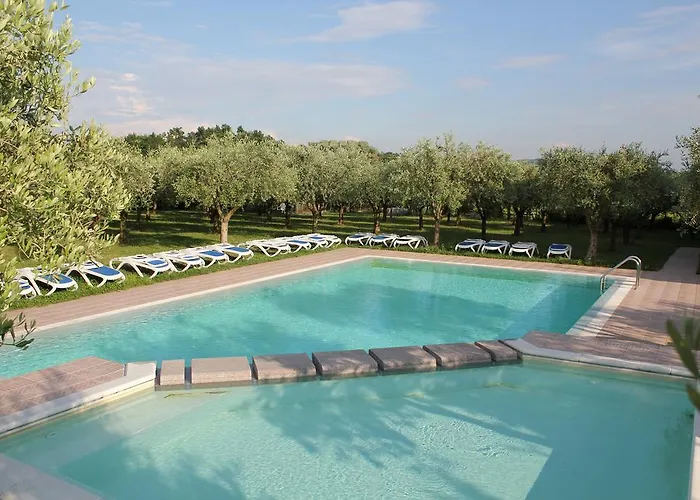 Ulivi Cavaion Veronese